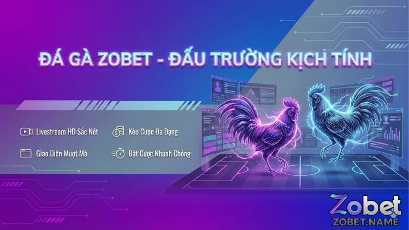 da-ga-zobet-dinh-cao-giai-tri-voi-co-hoi-bung-no